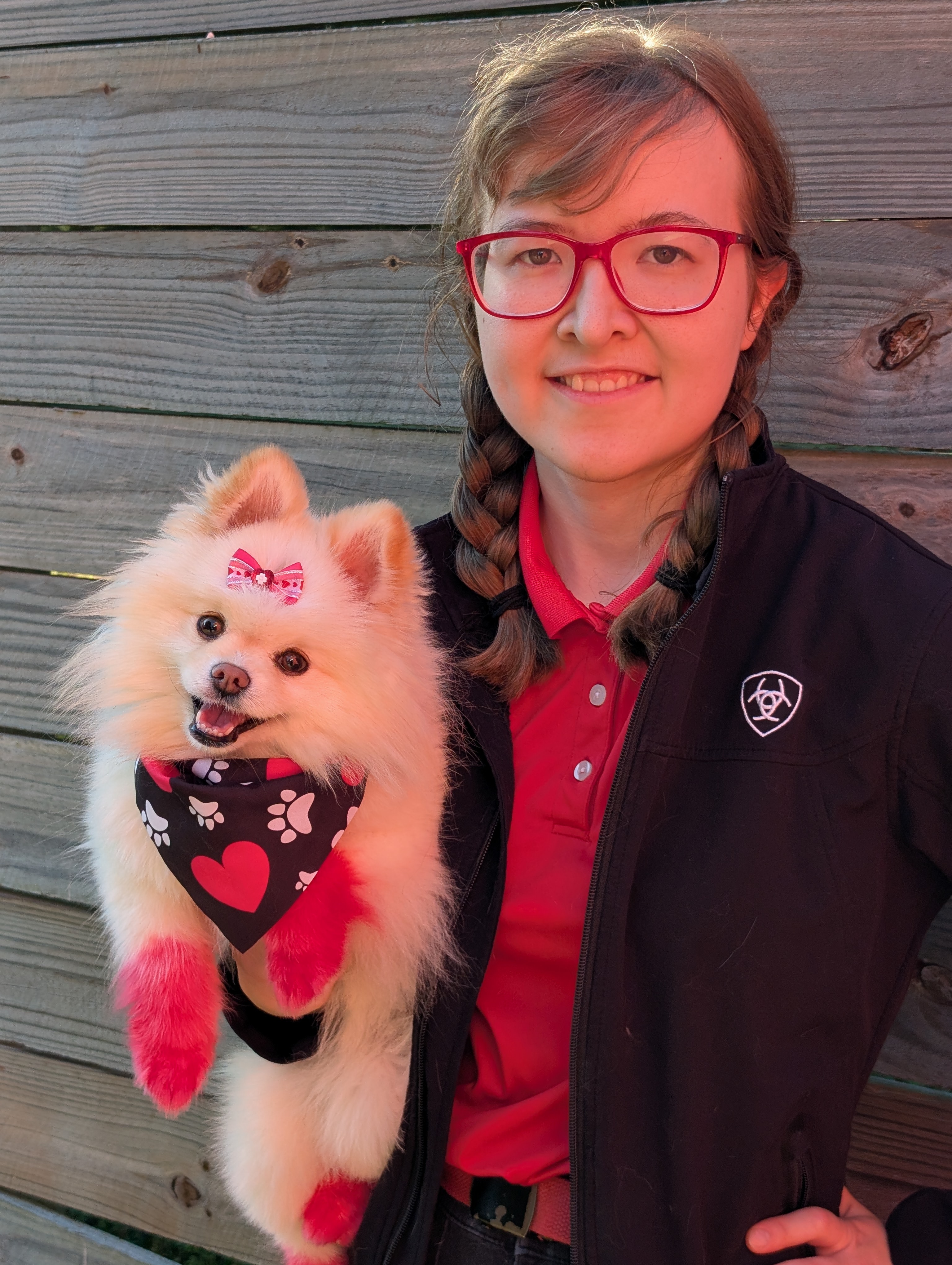 forge-master-holding-cream-pomeranian